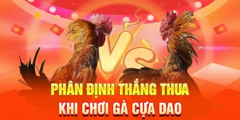 Hướng Dẫn Chơi Đá Gà 5MB Cho Người Mới Từ A Đến Z
